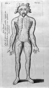 De Acupunctura di W.Ten Rhijne. Londra 1683. Primo testo occidentale sull