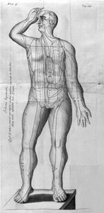 De Acupunctura di W. Ten Rhijne. Londra 1683. Primo testo occidentale sull