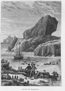 Scoperte ed esplorazioni: le isole Kerguelen - in "I viaggiatori del XVIII e XIX secolo, di Jules Verne, ed. Hetzel et Cie, Parigi da Unknown artist