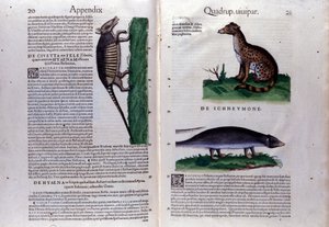 Doppia pagina dell