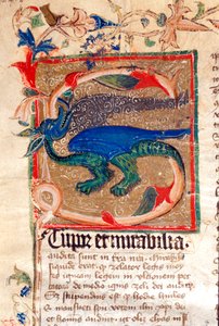 Drago decorato Lettrine (dettaglio) di un manoscritto del XIV secolo da Unknown artist