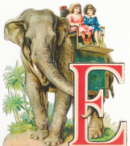 E: Elefante da Unknown artist
