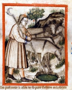 Esa pascola asini - il Pentateuco. Miniatura dal codice 212 (o codice padovano o Bibbia di Padova) 1390-1400 Rovigo, Accademia dei Concordi da Unknown artist