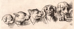Evoluzione di un cane in forma umana da Unknown