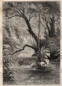 Spedizione in America (1799-1804) di Alexander von Humboldt (1769-1859) e Aimé Bonpland (1773-1858): gli esploratori discendono l