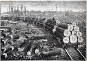 Sfruttamento delle foreste degli Stati Uniti. Ferrovie temporanee con binari in legno. Vagoni che trasportano tronchi d