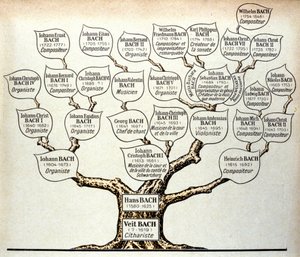 Albero genealogico della famiglia Bach da Unknown artist