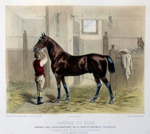Cavalli da corsa famosi in "Il Centauro" 1866 da Unknown artist