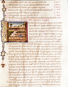 Contadini che piantano vigneti