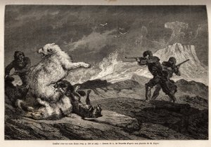 Lotta con un orso polare che protegge il suo cucciolo, il branco di cani la assale e i cacciatori, armati di fucili, aspettano il momento giusto per sparare. Incisione per illustrare il viaggio al mare libero del polo artico, del Dottor Hayes, chirurgo del