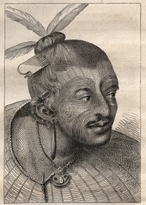 Primo viaggio (1768-1771) del capitano James Cook (1728-1779): testa tatuata di un neozelandese - illustrazione tratta da 