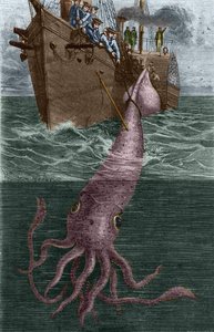 Pesca di un calamaro gigante dalla corvetta francese l