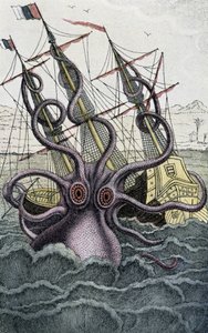 Gigante polpo (Kraken) attacca una nave - da Denys-Montfort in "Histoire naturelle des mollusques", Parigi da Unknown artist