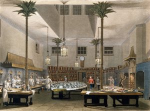 Grand Hotel: le cucine del Grand Pavillon Hotel a Brighton. 1850 da Unknown artist