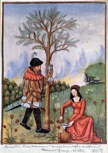 Raccolta di un balsamo - Libro delle medicine semplici da Unknown artist