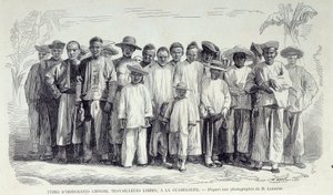 Storia delle colonie francesi: immigrati cinesi che lavorano in Guadalupa. Disegno da fotografia della fine del XIX secolo da Unknown artist