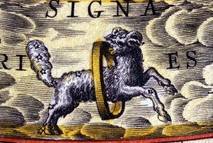 Oroscopo: segno dello zodiaco, l