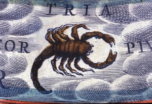 Oroscopo: segno zodiacale, lo Scorpione da Unknown artist
