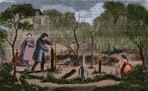 Orticoltura: principali metodi di trapianto delle piante. Incisione del 1860 da Unknown artist