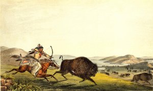 Caccia al bisonte in Nord America. XIX secolo. da Unknown artist