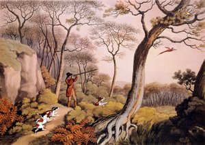 Caccia ai fagiani in Inghilterra. Incisione del XIX secolo. Gien, museo della caccia da Unknown artist