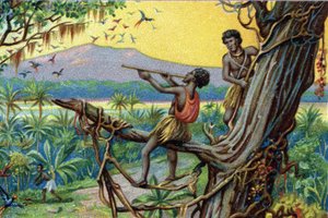 Tecnica di caccia. Caccia ai colibrì nell