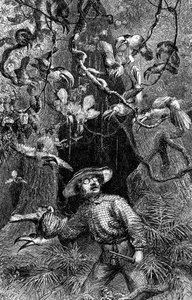 Illustrazione Il naturalista sul Rio delle Amazzoni" di Henry Walter Bates (incisione) da Unknown artist