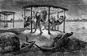 Illustrazione Il naturalista sul Rio delle Amazzoni" di Henry Walter Bates (incisione)