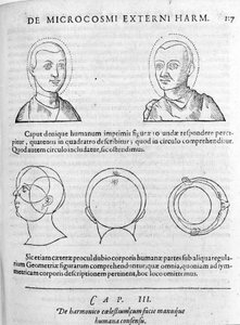 Immagine di fisiognomica da 