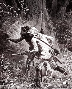 Nei campi di gomma (Hevea) nella giungla della Guyana da Unknown artist
