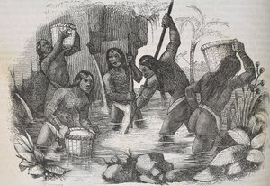 Indiani dell