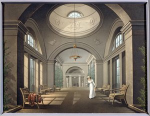 Interno della voliera nel palazzo Pavlovsk da Unknown artist