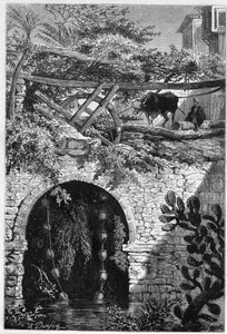 Irrigazione in Egitto: un bue gira una ruota intorno alla quale sono avvolti secchi. Incisione in "Le Monde Illustré" n.1313 del 27 maggio 1882 da Unknown artist