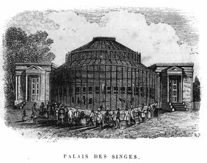 Jardin des Plantes a Parigi nel 1861: palazzo delle scimmie