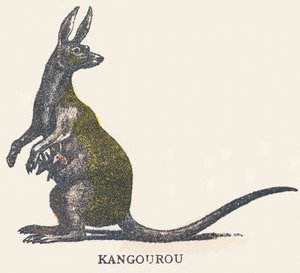 Canguro da Unknown artist