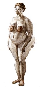 La Venere Ottentotta, donna di razza Bochiman. Incisione del 1815
