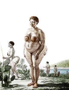 La Venere Ottentotta, donna della razza Bochiman, incisione del 1815.