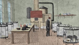 Louis Pasteur (1822-1895), chimico e fisico francese nel suo laboratorio a Parigi