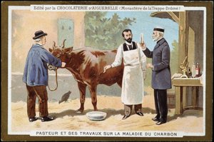 Louis Pasteur e il suo lavoro sulla malattia del carbonchio - etichetta pubblicitaria dei Cioccolati d