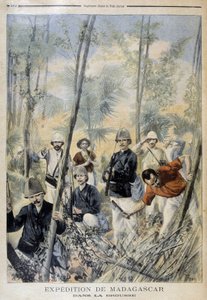 Spedizione in Madagascar: nella boscaglia - in “Le Petit Journal”, agosto 1895 da Unknown artist