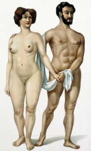 Uomo e donna - libro di medicina, fine XIX secolo da Unknown artist