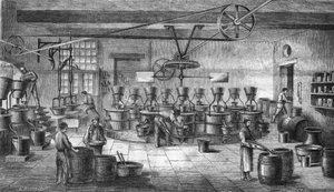 Fabbricazione di senape e cibo in scatola presso Louit Freres a Bordeaux. Incisione del 1865