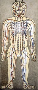 Medicina. Diagramma del corpo umano da un trattato di agopuntura. Biblioteca privata, Milano da Unknown artist
