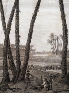 Memphis, vista delle rovine (scienziati e artisti al lavoro) - in "Descrizione dell