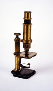 Microscopio. XIX secolo
