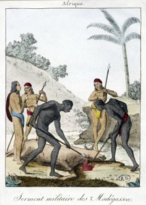 Giuramento militare degli abitanti del Madagascar (macellazione di un bue) - incisione, 1811 da Unknown artist