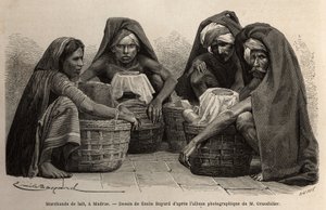 Venditori di latte, per le strade di Madras (l
