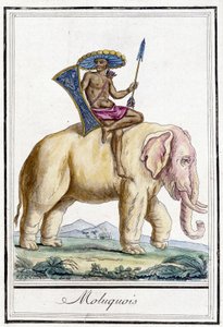 Uomo delle Molucche su un elefante (Isole Molucche, Indonesia) da Unknown artist