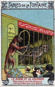 La scimmia e il leopardo - Favole di Jean de La Fontaine (1621-95) - Cromolitografia della fine del XIX secolo Collezione Privata da Unknown artist
