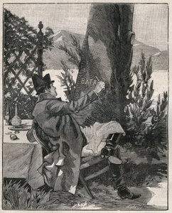 Napoleone Bonaparte scrisse la parola 